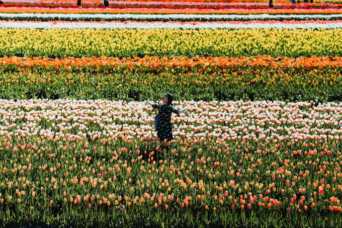 green floral dress tulip farm-2778